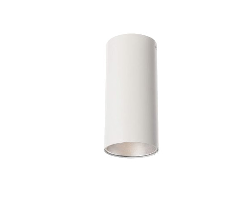 ANELA stropní svítidlo přisazené bílé - více barev-Stříbrná
